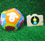 Combo Pack Of 2 - Colourful Ball And Camera Wooden Rattle